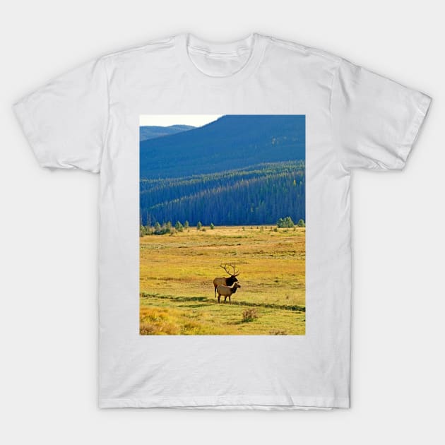 RMNP Plains in Autumn T-Shirt by bobmeyers